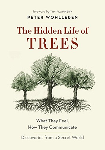 Cover of The Hidden Life of Trees: What They Feel, How They Communicate—Discoveries from A Secret World (The Mysteries of Nature Book 1)