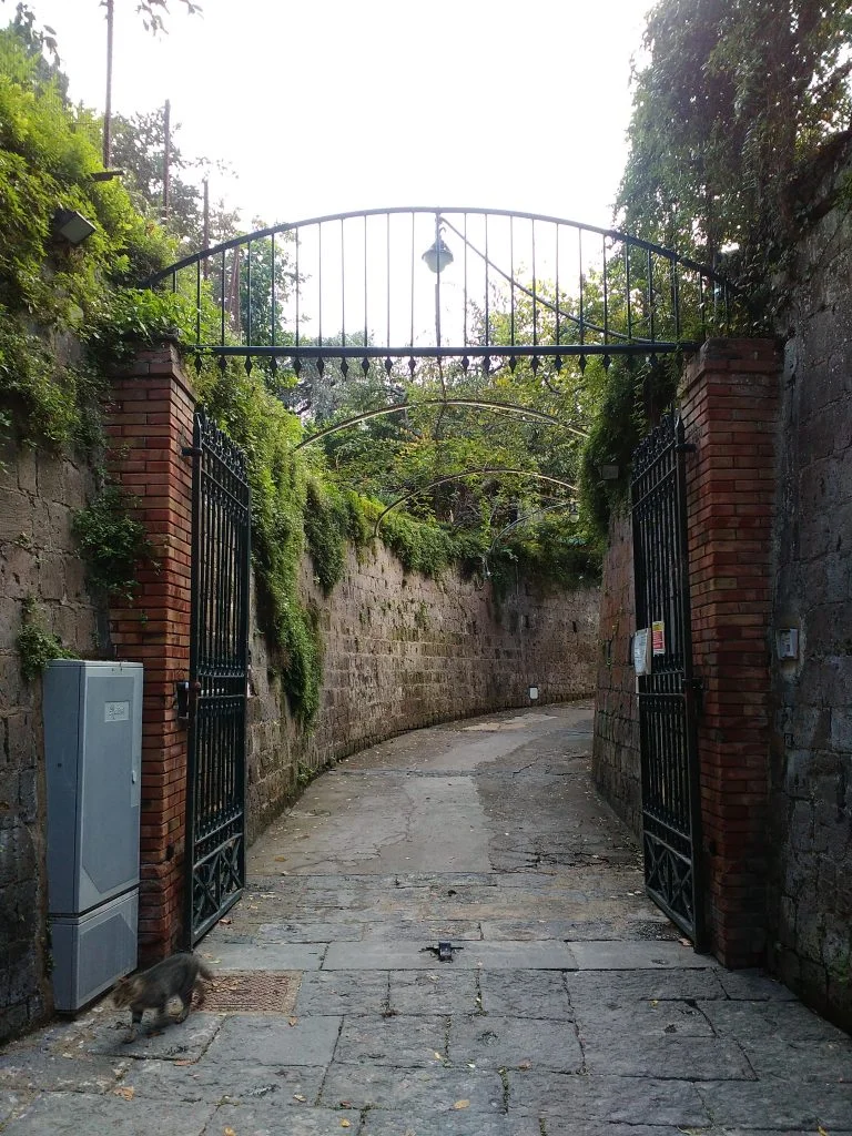 Thumbnail of The Long Path that Leads from the Making of Our World to God — Building Beauty