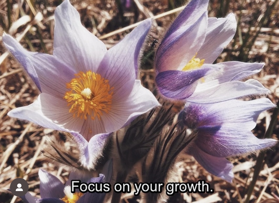 Preview of 7da3c5e5-jpeg