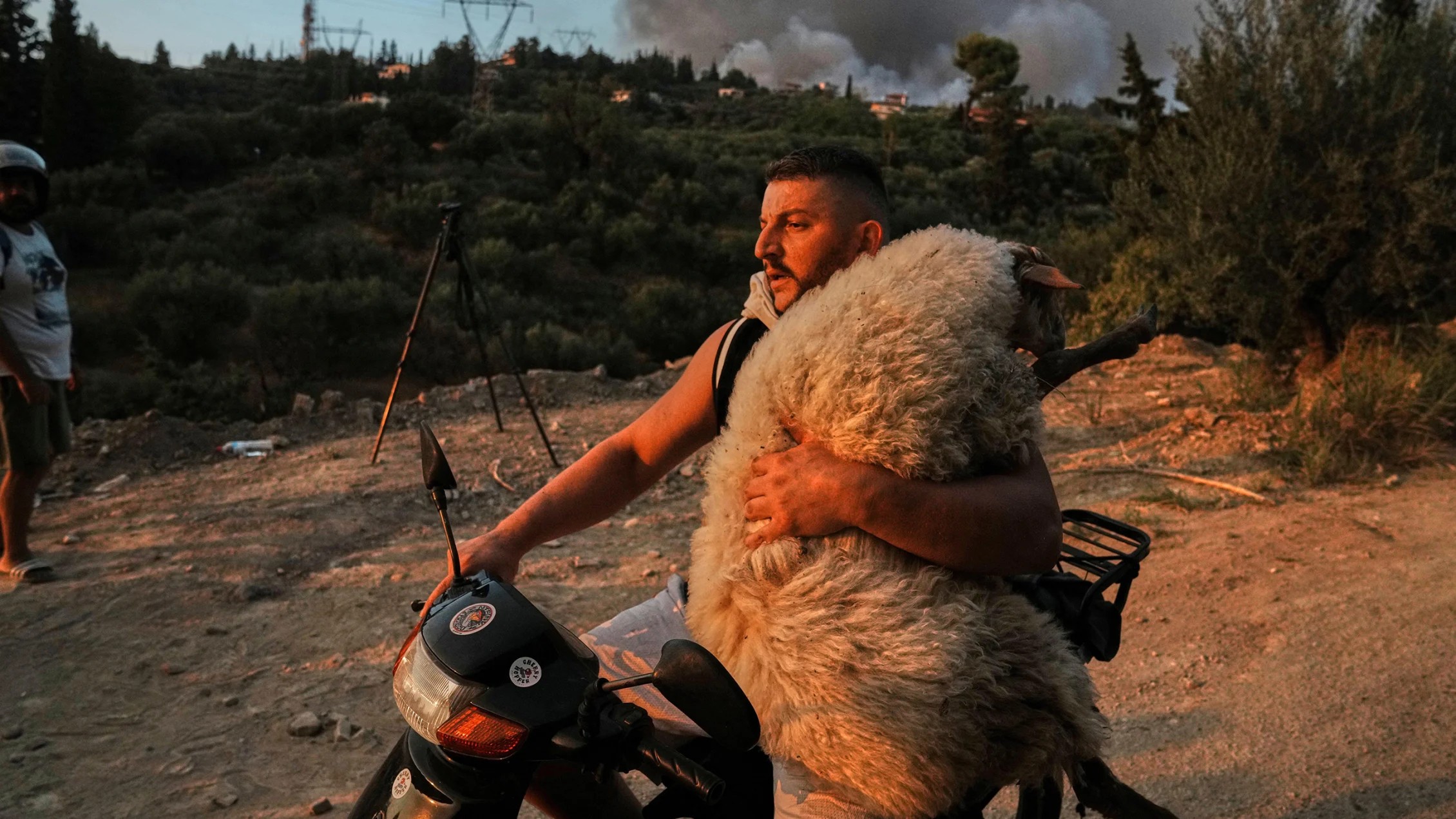 Thumbnail of Found on Cosmos