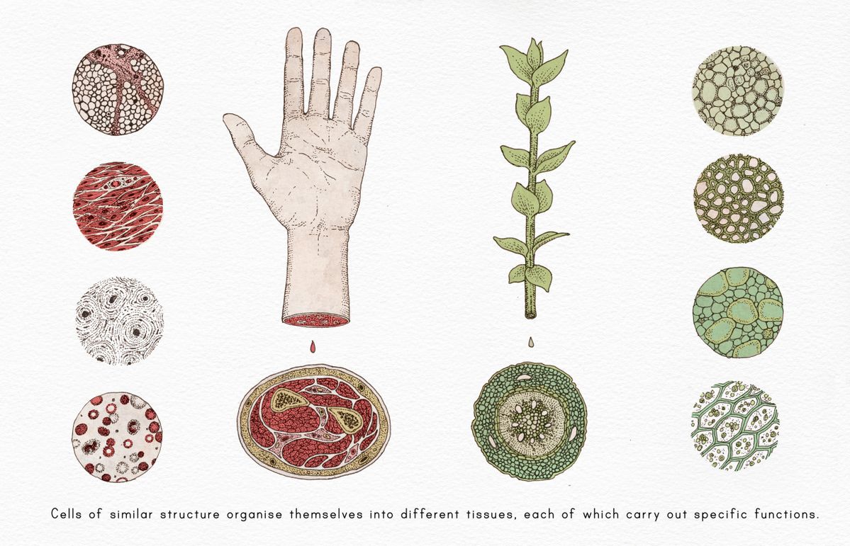 Thumbnail of Tim LaSalle