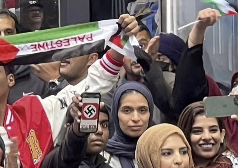 Thumbnail of Western Leftists Have Lost the Plot