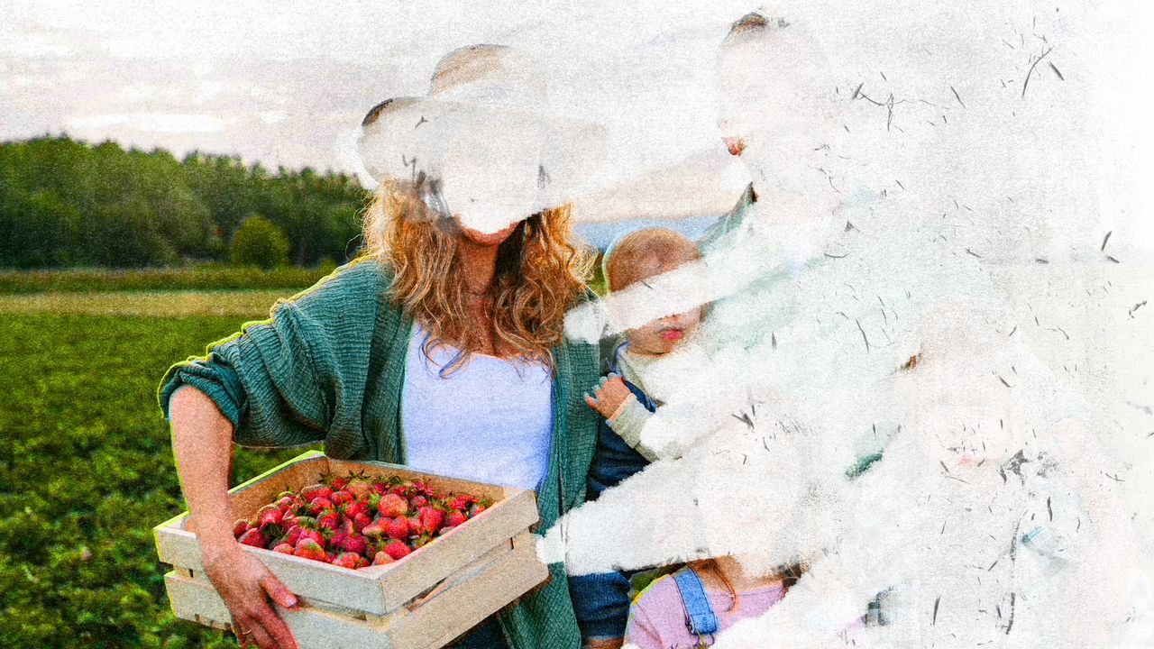 Thumbnail of The Trad Movement Is Sputtering. Here’s What Comes Next