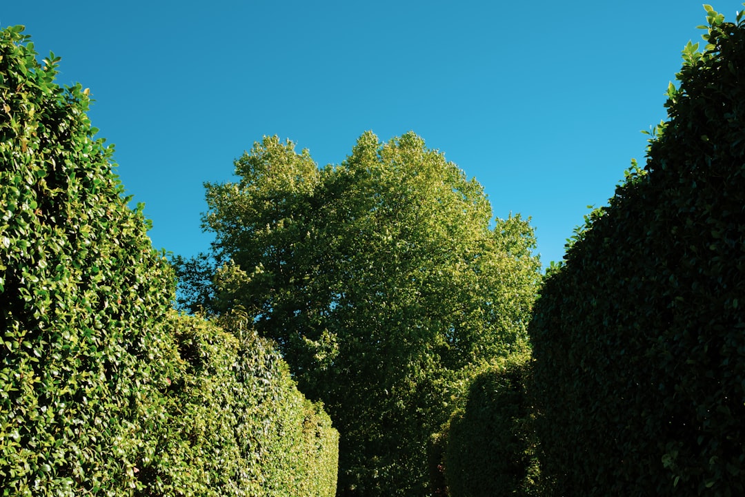 Thumbnail of the deadline is a damn lie