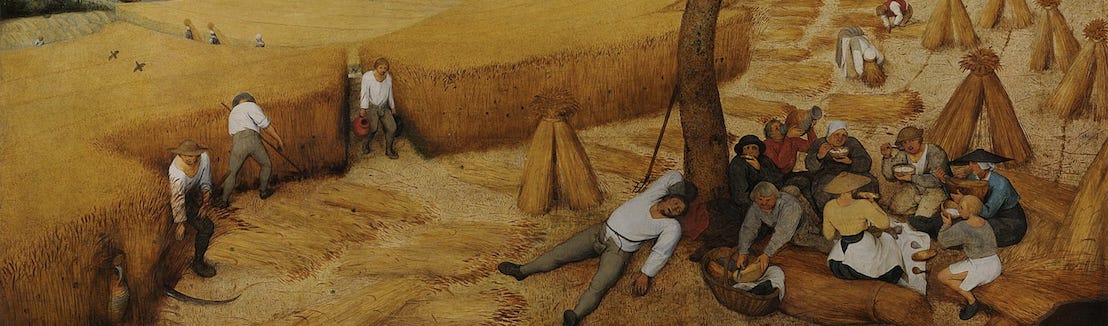 Thumbnail of Common Worlds, Common Sense, and the Digital Realm