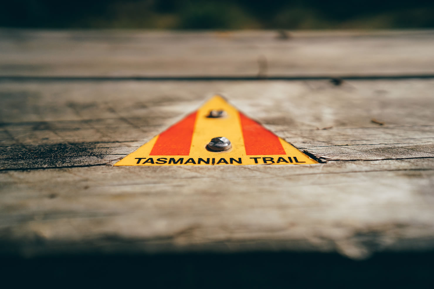 Thumbnail of The Tasmanian Trail