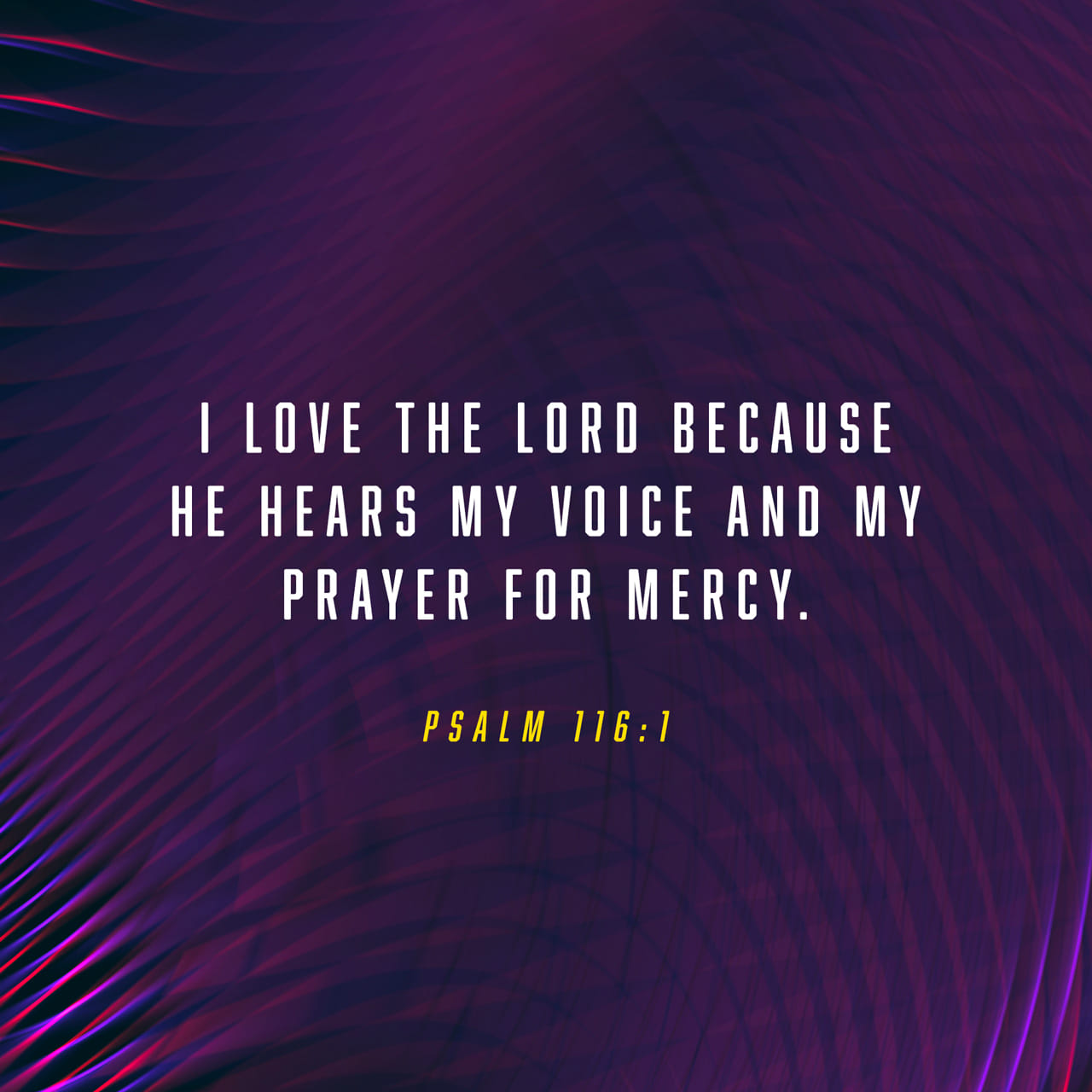 Cover of Psalms 116:1-2 (NET) - I love the LORD because he heard my | YouVersion