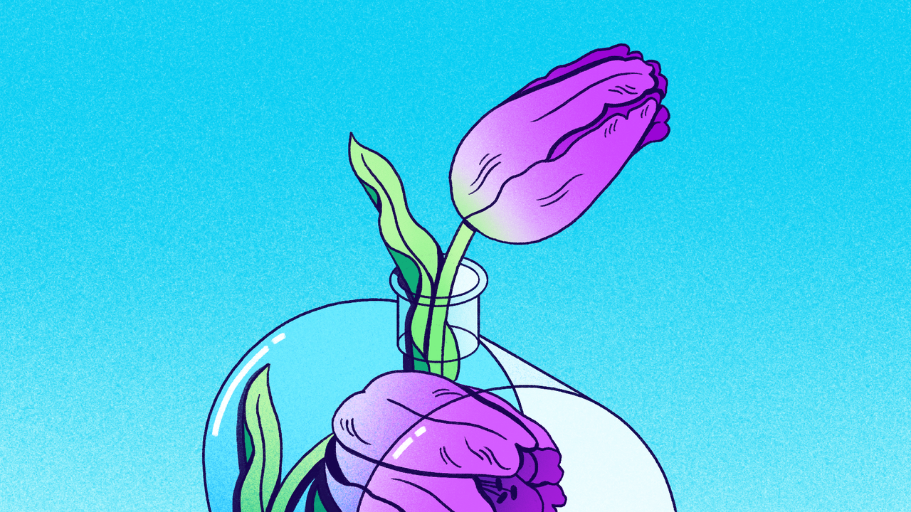 Thumbnail of What Does It Really Mean to Learn?