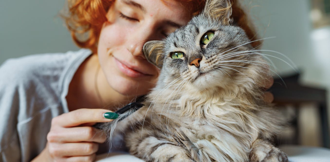 Thumbnail of Do cats make good therapy animals? The new trend showing felines may be more complicated than we realise