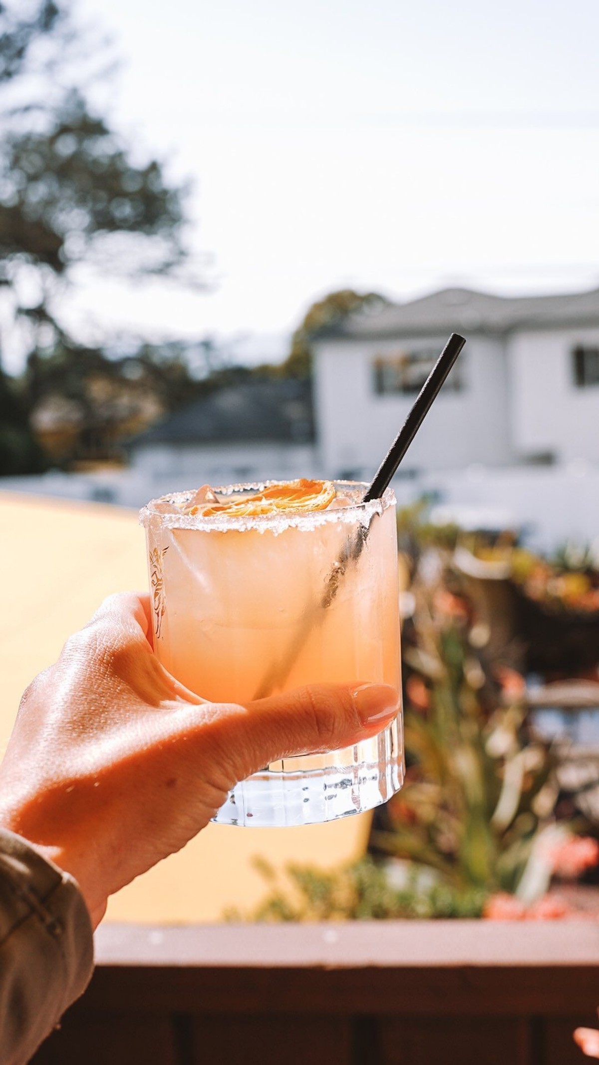 Thumbnail of Found on Cosmos