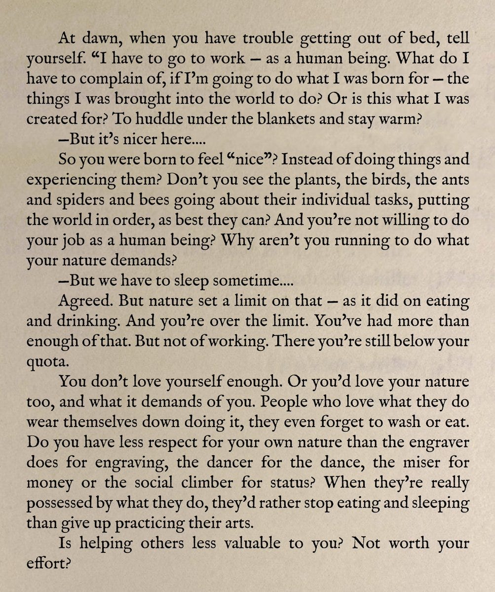 Thumbnail of Substack - A new economic engine for culture