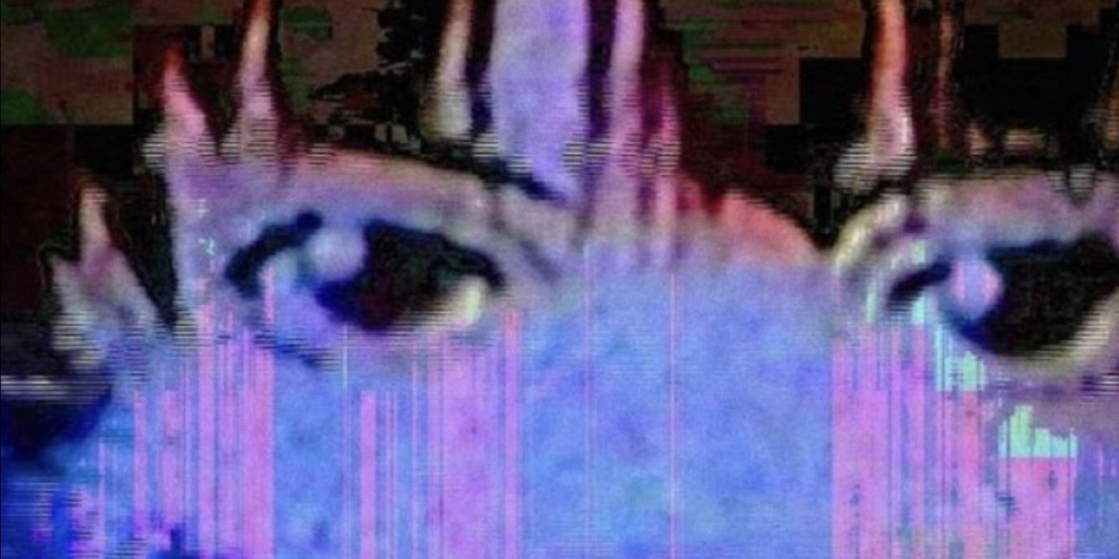 Thumbnail of Are we focusing on the wrong thing?