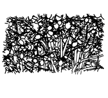 Thumbnail of Immanuel Kant — What is Beauty? - Ralph Ammer