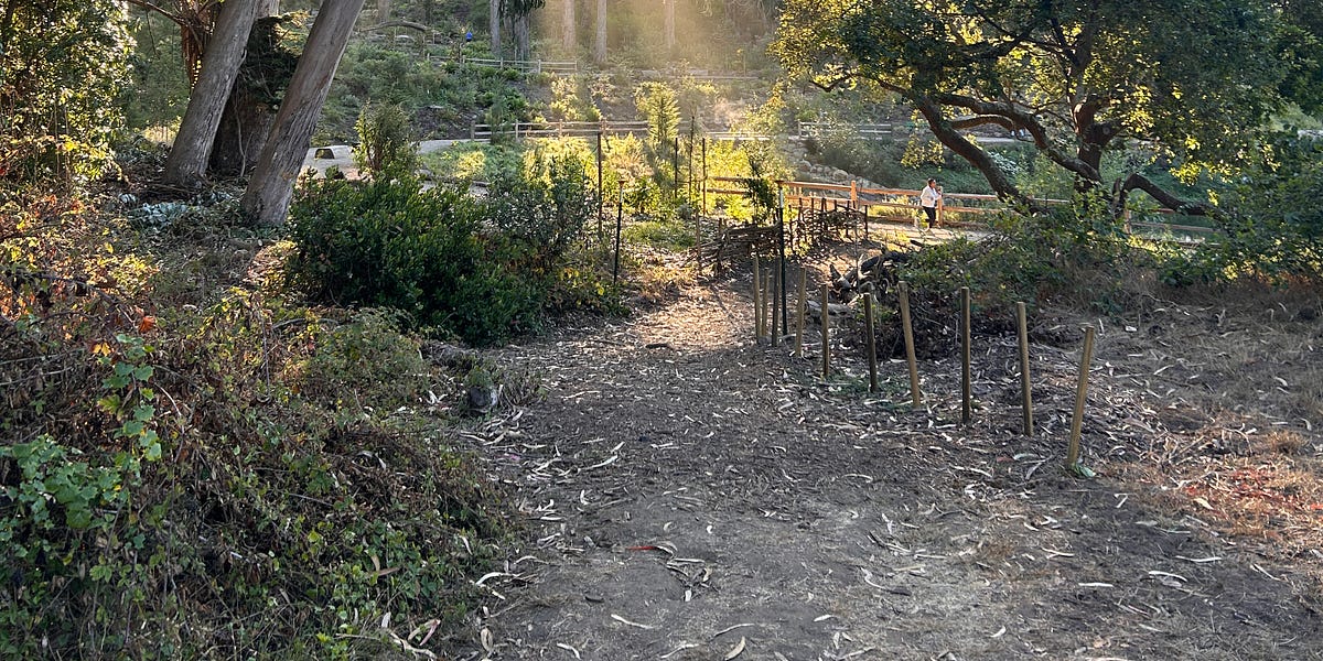 Thumbnail of For Anyone Piecing Together a Life That Doesn’t Fit in a Job Title