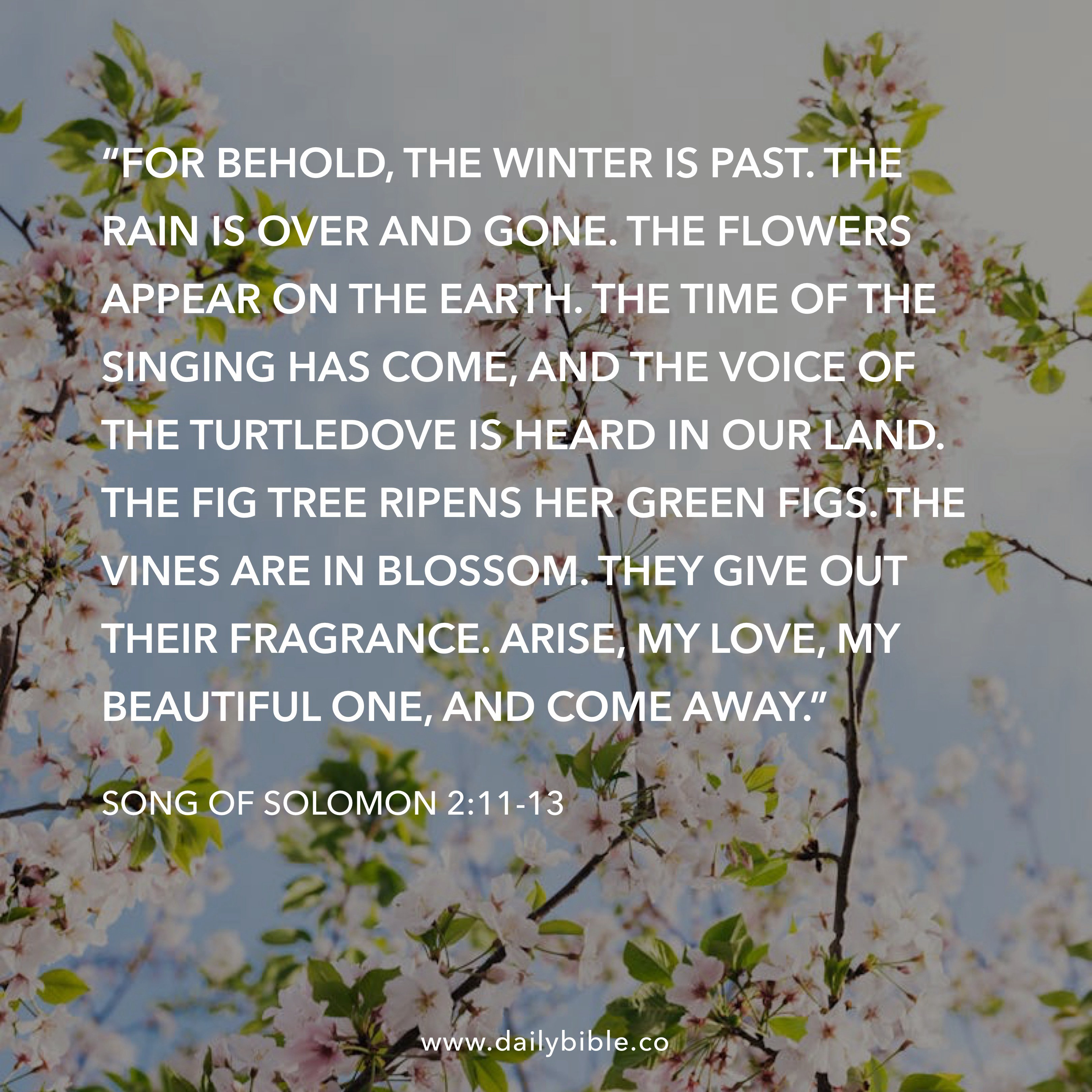 Preview of a9dac00fc3e8-jpg