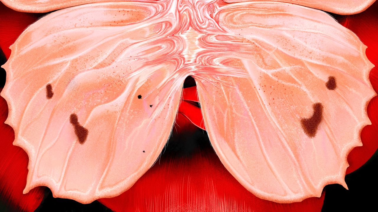 Thumbnail of All Good Sex Is Body Horror