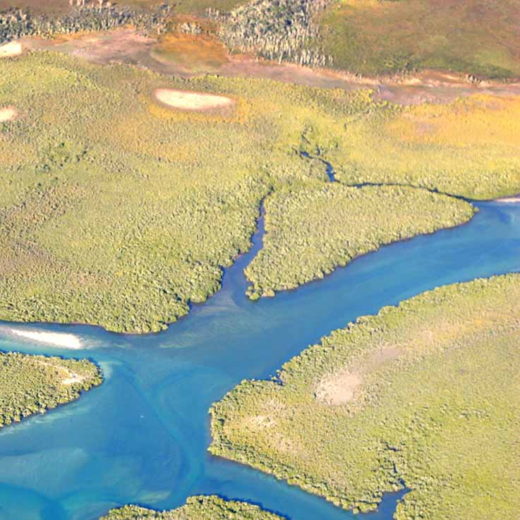 Thumbnail of Systemic Investing for Social Change (SSIR)