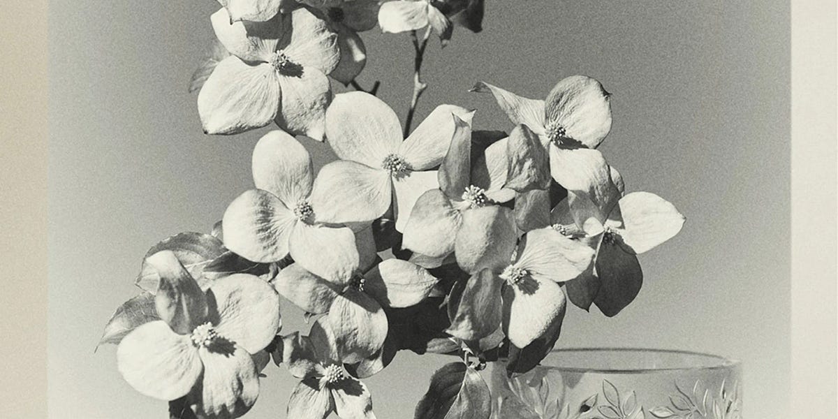 Thumbnail of 26 Things That Absolutely Delighted Me in November