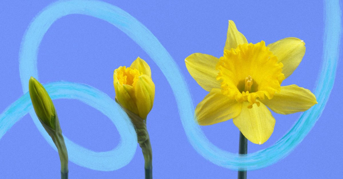 Thumbnail of 10 Nudge Words to Adopt in 2026