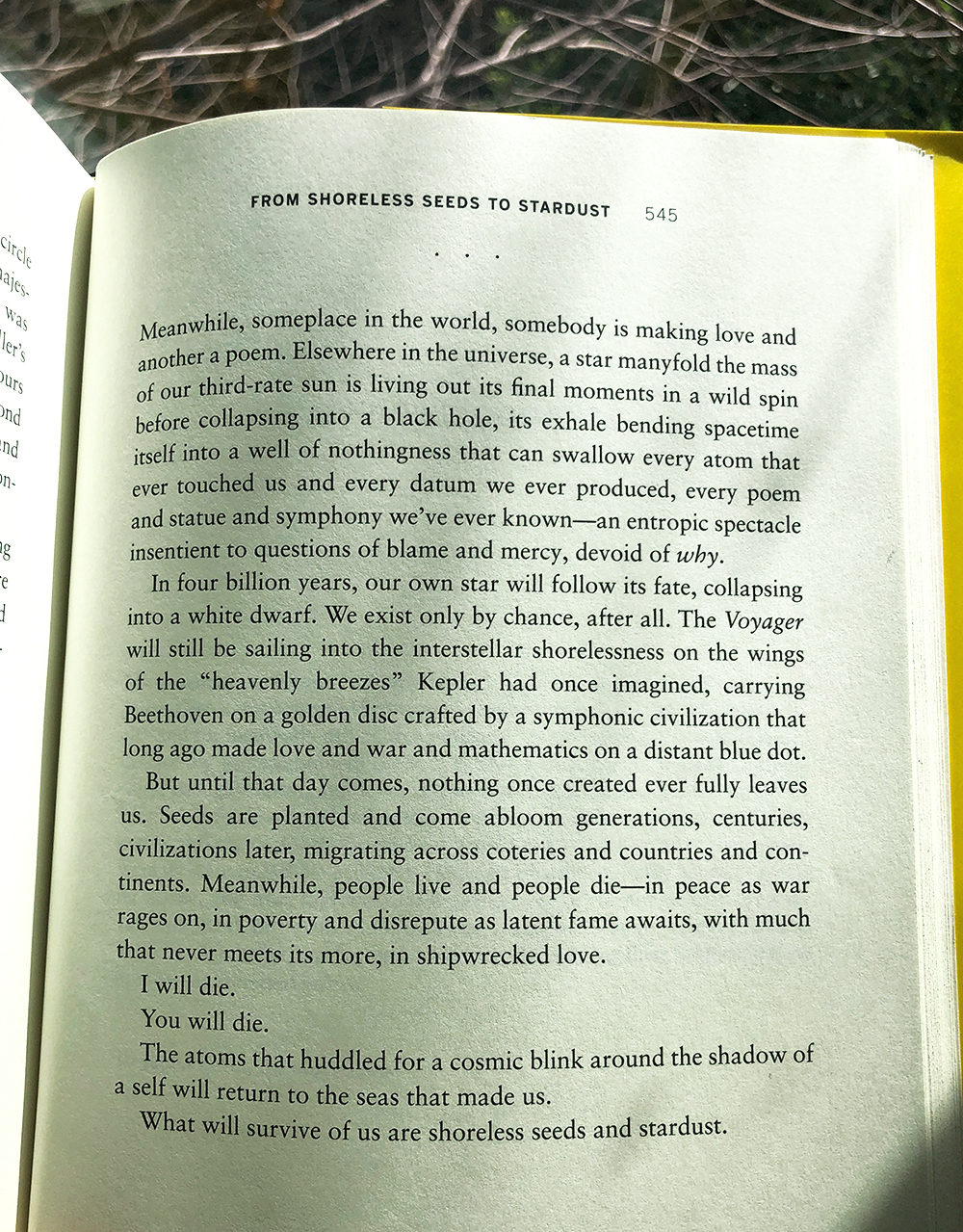 Thumbnail of Figuring Forward in an Uncertain World