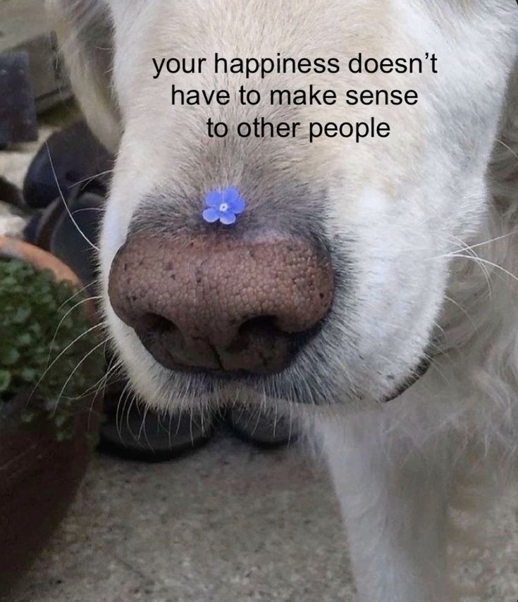 Preview of pin-7670261862204782