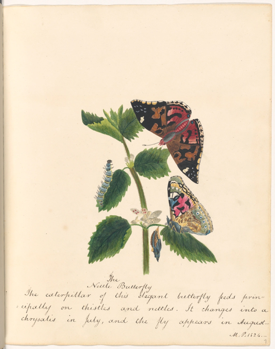 Thumbnail of Public Work by Cosmos