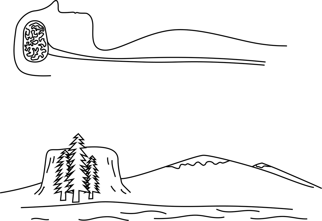Thumbnail of Humans are Wired for Nature