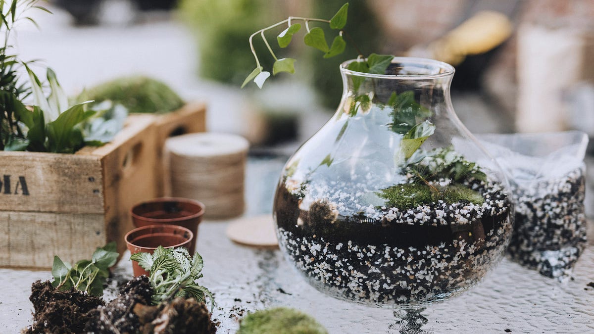 Thumbnail of Building a sustainable brand ecosystem: A complete visual guide