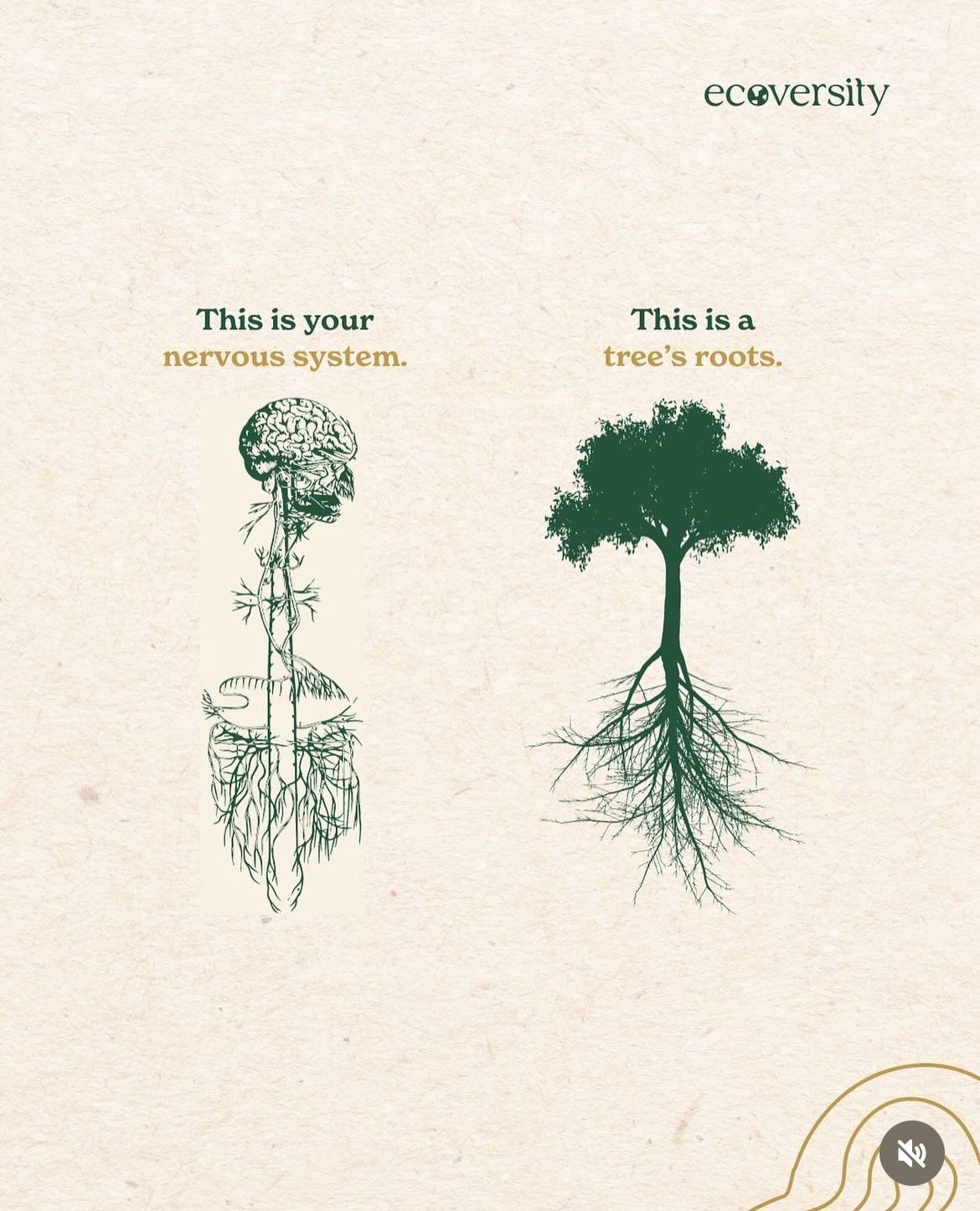 Thumbnail of Mark Groves (@markgroves)