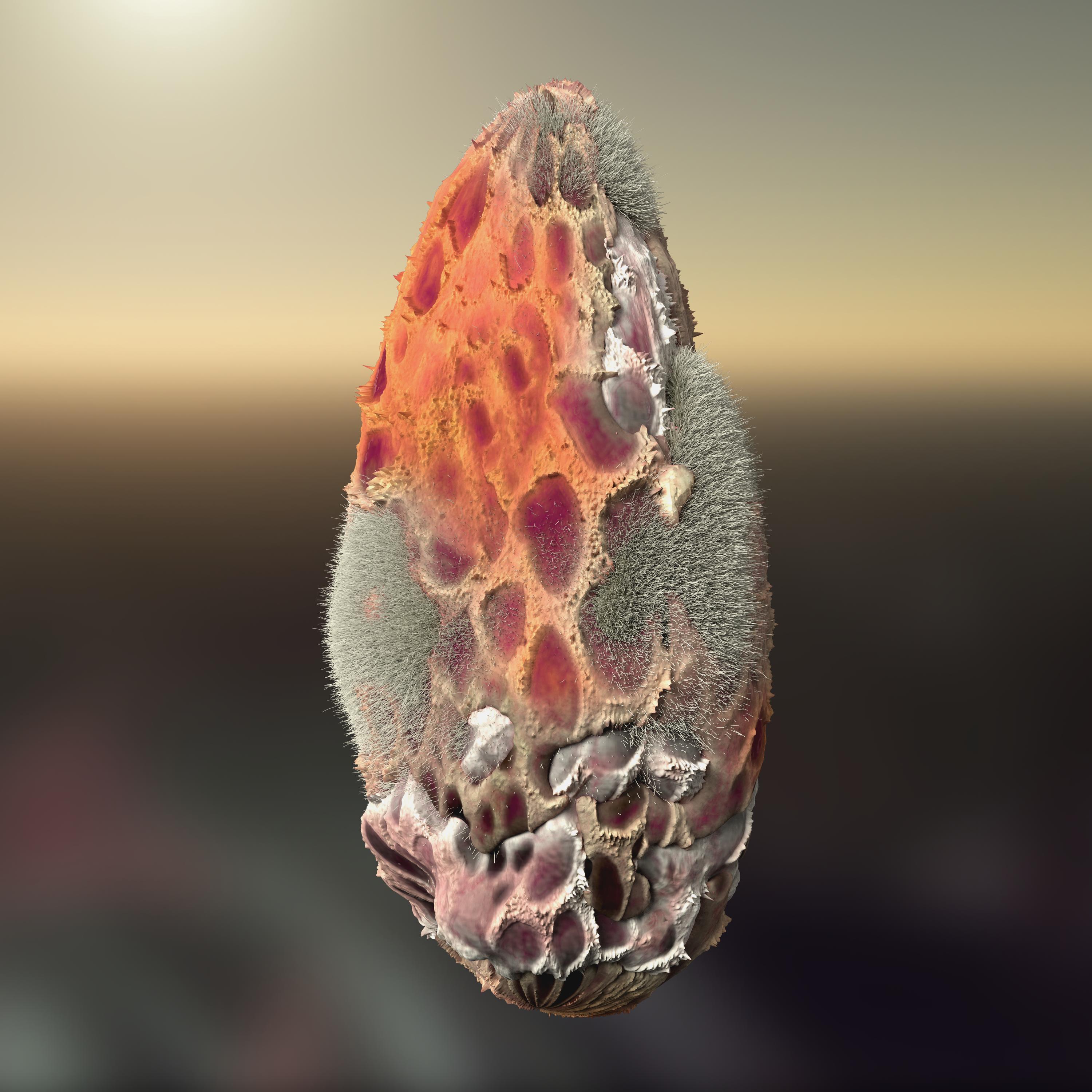 Thumbnail of vessels of hope — Neo-Metabolism